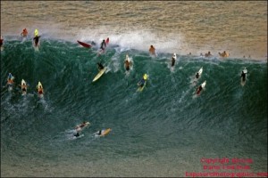 560816991-Eddie_Aikau